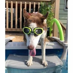 4-Step Entry Steps for Above Ground Swimming Pool with 3 Sand Weights by Confer Plastics -Pool Supplies Sales Store confer plastics pool ladders 3 x 200888 44 1000