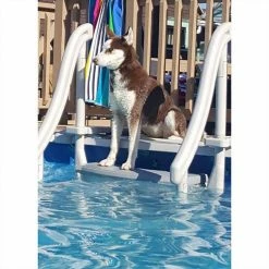 4-Step Entry Steps for Above Ground Swimming Pool with 3 Sand Weights by Confer Plastics -Pool Supplies Sales Store confer plastics pool ladders 3 x 200888 66 1000