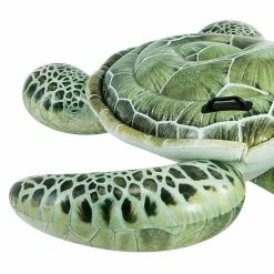 Realistic Sea Turtle Ride-On Pool Inflatable by Intex -Pool Supplies Sales Store green intex pool floats 57555ep 4f 1000