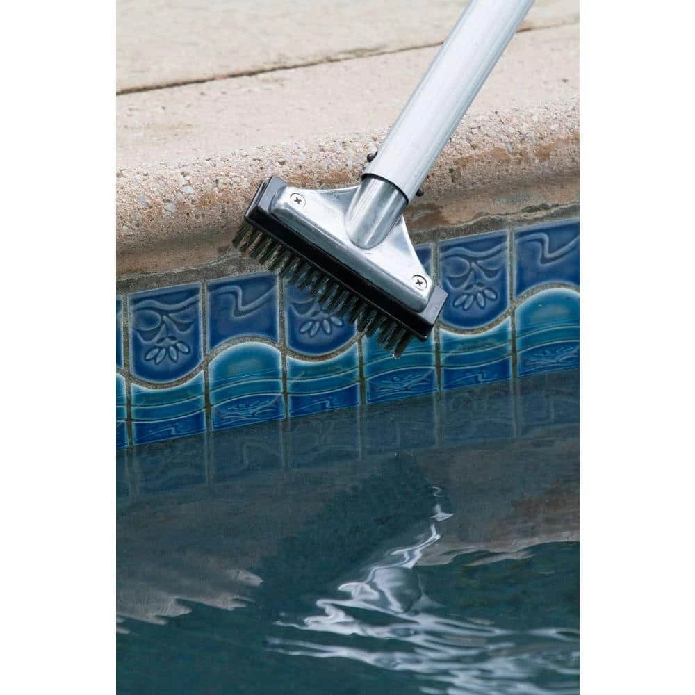 5 in. Stainless Steel Bristle Swimming Pool Brush for Algae Removal by HDX 7 5 in. Stainless Steel Bristle Swimming Pool Brush for Algae Removal by HDX - Image 5