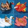 Giant White Swan Flamingo Black Swan and Parrot Swimming Pool Float Combo (4-Pack) by Swimline -Pool Supplies Sales Store multi swimline pool floats 90621 2789bx 64 1000