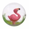 Summer Flamingo 12 in. Inflatable Beach Ball (3-Pack) by Amscan 2 Summer Flamingo 12 in. Inflatable Beach Ball (3-Pack) by Amscan -Pool Supplies Sales Store pink amscan pool toys 3901659 64 1000