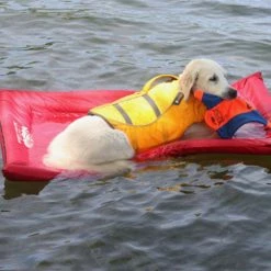 Pink Lazy Dog Pool Lounger and Lake Raft Float, Large by Unbranded 11 Pink Lazy Dog Pool Lounger and Lake Raft Float, Large by Unbranded -Pool Supplies Sales Store pink pool floats lg pk 520 44 1000