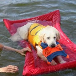 Red Lazy Dog Pool Lounger and Lake Raft Float, Large by Unbranded -Pool Supplies Sales Store red pool floats lg re 520 4f 1000