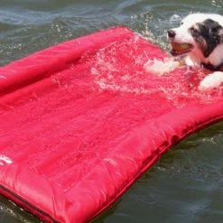Red Lazy Dog Pool Lounger and Lake Raft Float, Large by Unbranded -Pool Supplies Sales Store red pool floats lg re 520 fa 1000
