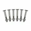 Swimming Pool Replacement Step Ladder Bolts Set in Stainless Steel by Swimline