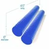Blue Tetra Mega Noodle Big Round Premium Outdoor Water Float (2-Pack) by VOS 1 Blue Tetra Mega Noodle Big Round Premium Outdoor Water Float (2-Pack) by VOS -Pool Supplies Sales Store teal vos pool floats vos 500tb 64 1000