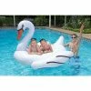 Jumbo Swan Swimming Pool Float by Poolmaster 2 Jumbo Swan Swimming Pool Float by Poolmaster -Pool Supplies Sales Store white poolmaster pool floats 83677 64 1000